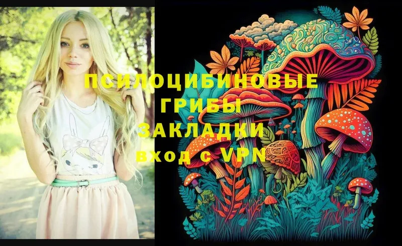 Псилоцибиновые грибы Psilocybe  omg ССЫЛКА  Николаевск 